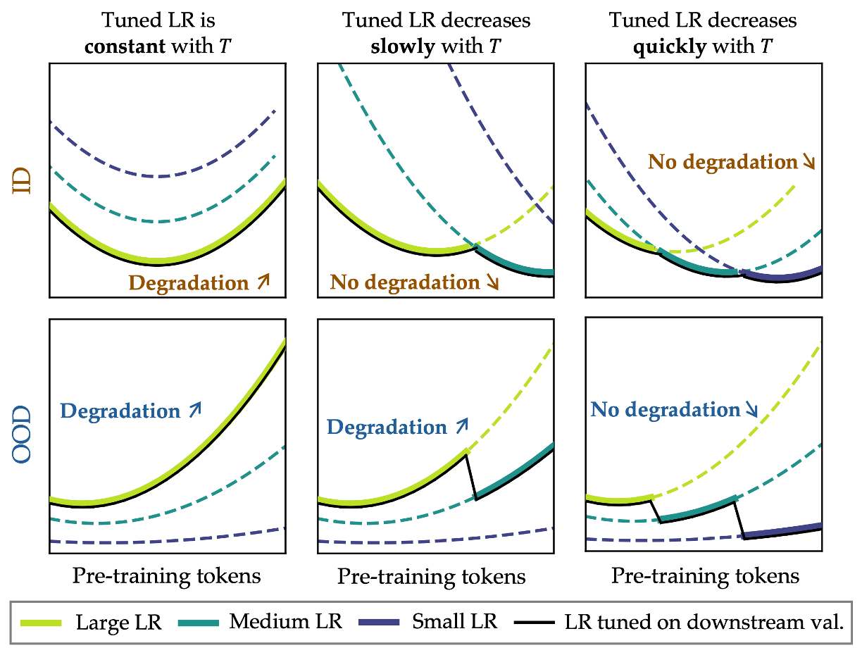 When tuned learning rates mitigate or reveal catastrophic overtraining